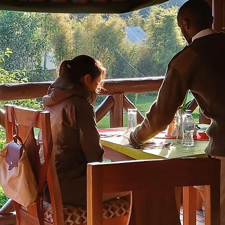 Davinci Gorilla Lodge Kinigi المظهر الخارجي الصورة