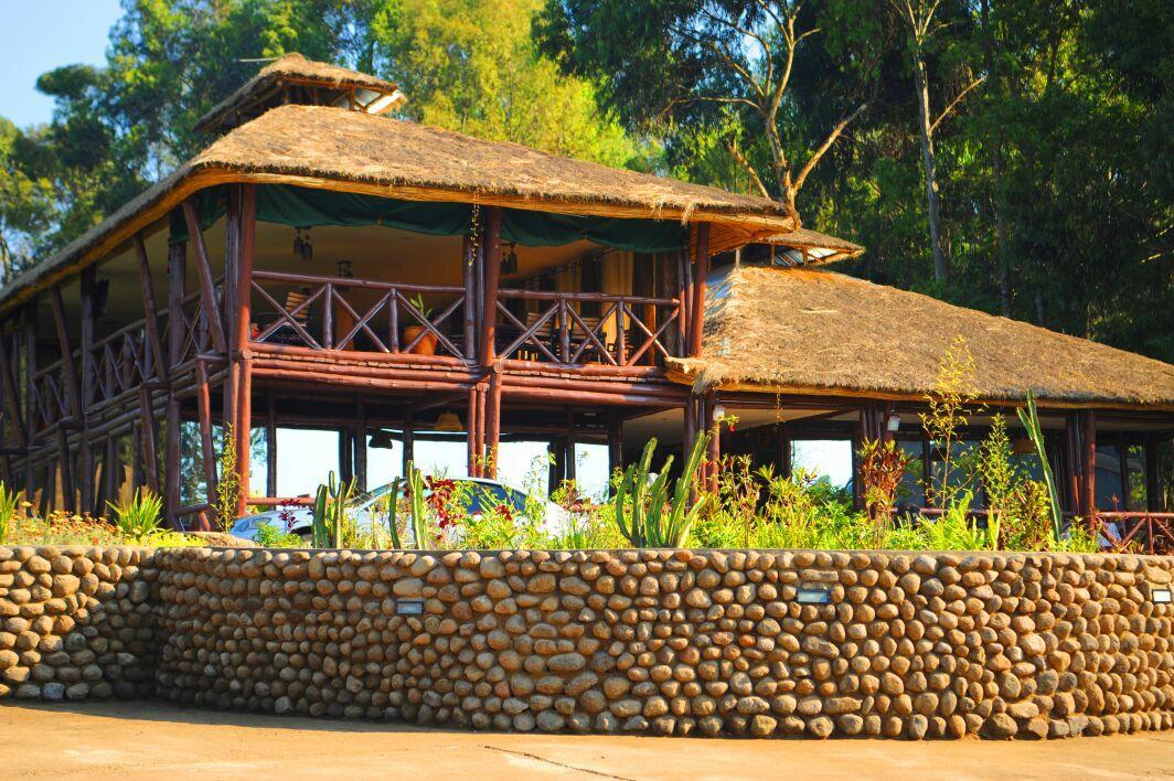 Davinci Gorilla Lodge Kinigi المظهر الخارجي الصورة