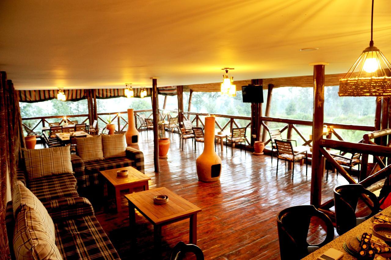 Davinci Gorilla Lodge Kinigi المظهر الخارجي الصورة