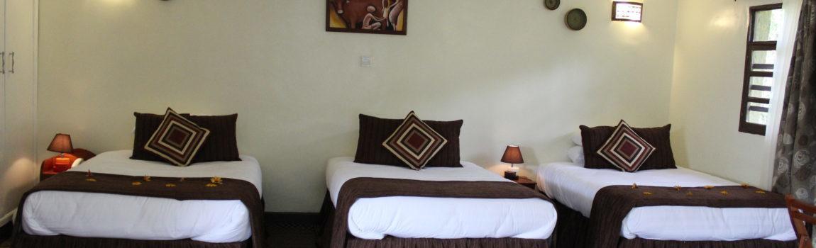 Davinci Gorilla Lodge Kinigi المظهر الخارجي الصورة